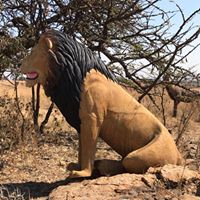 20621158_1499399836814691_2415457475271231139_n