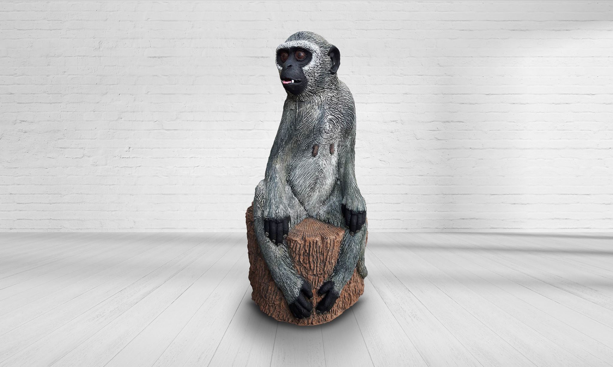 20746368_1955037041421995_4089750636417870020_o