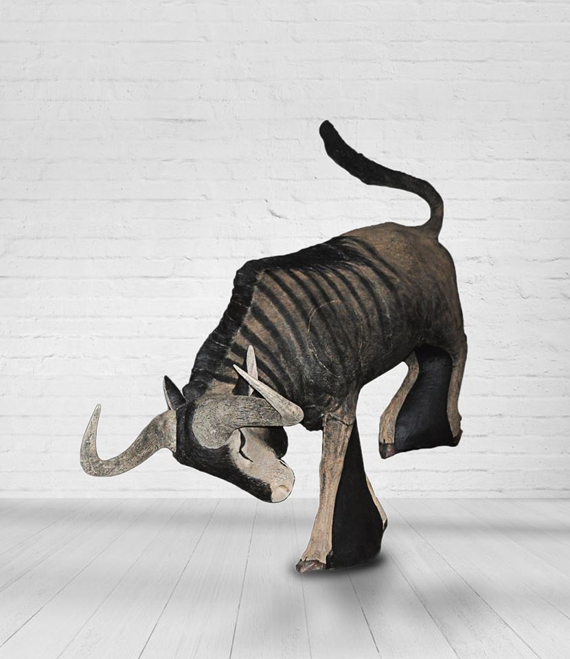 20768273_1955038514755181_3592807497121901377_n