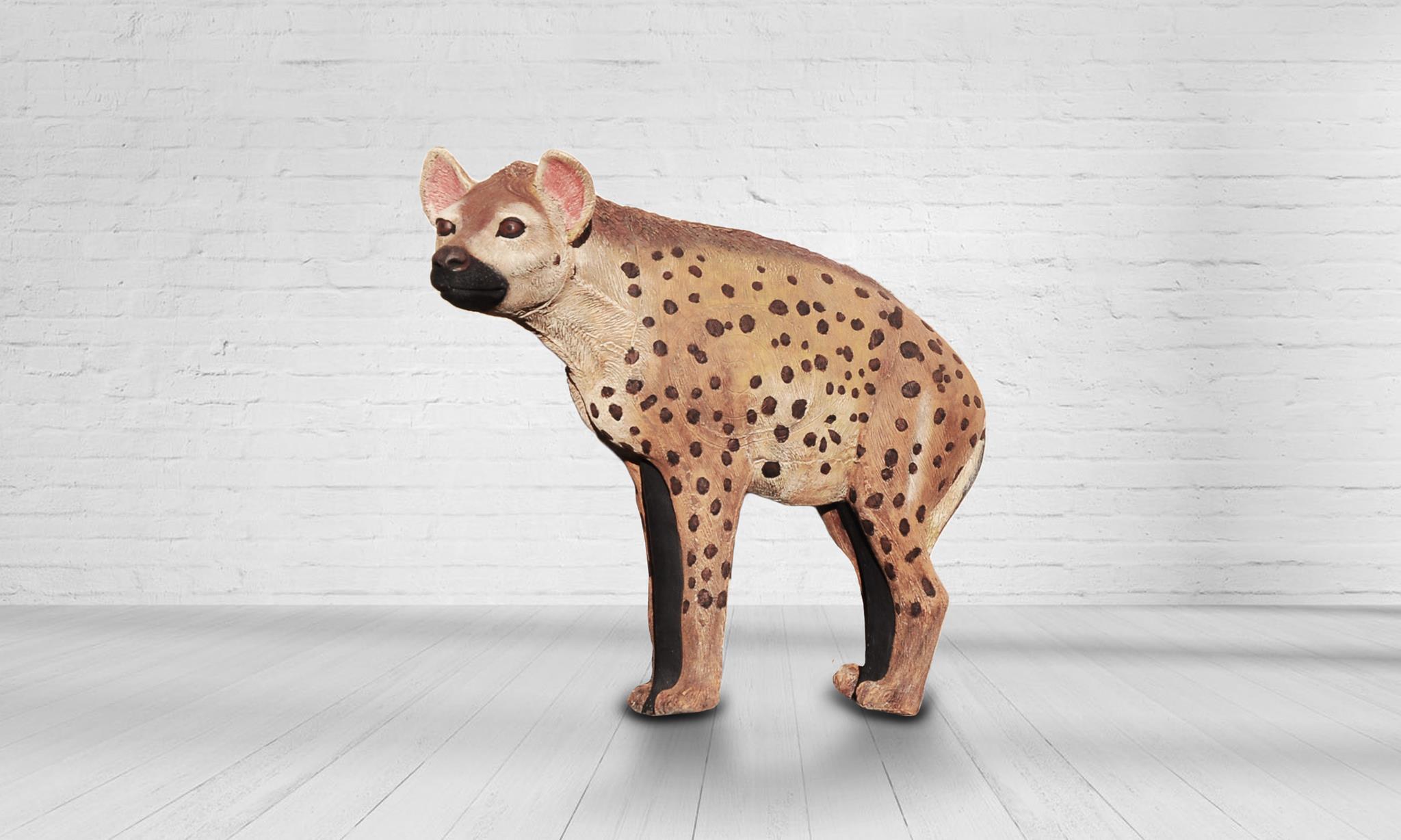 20819219_1955038784755154_3113757276945772962_o