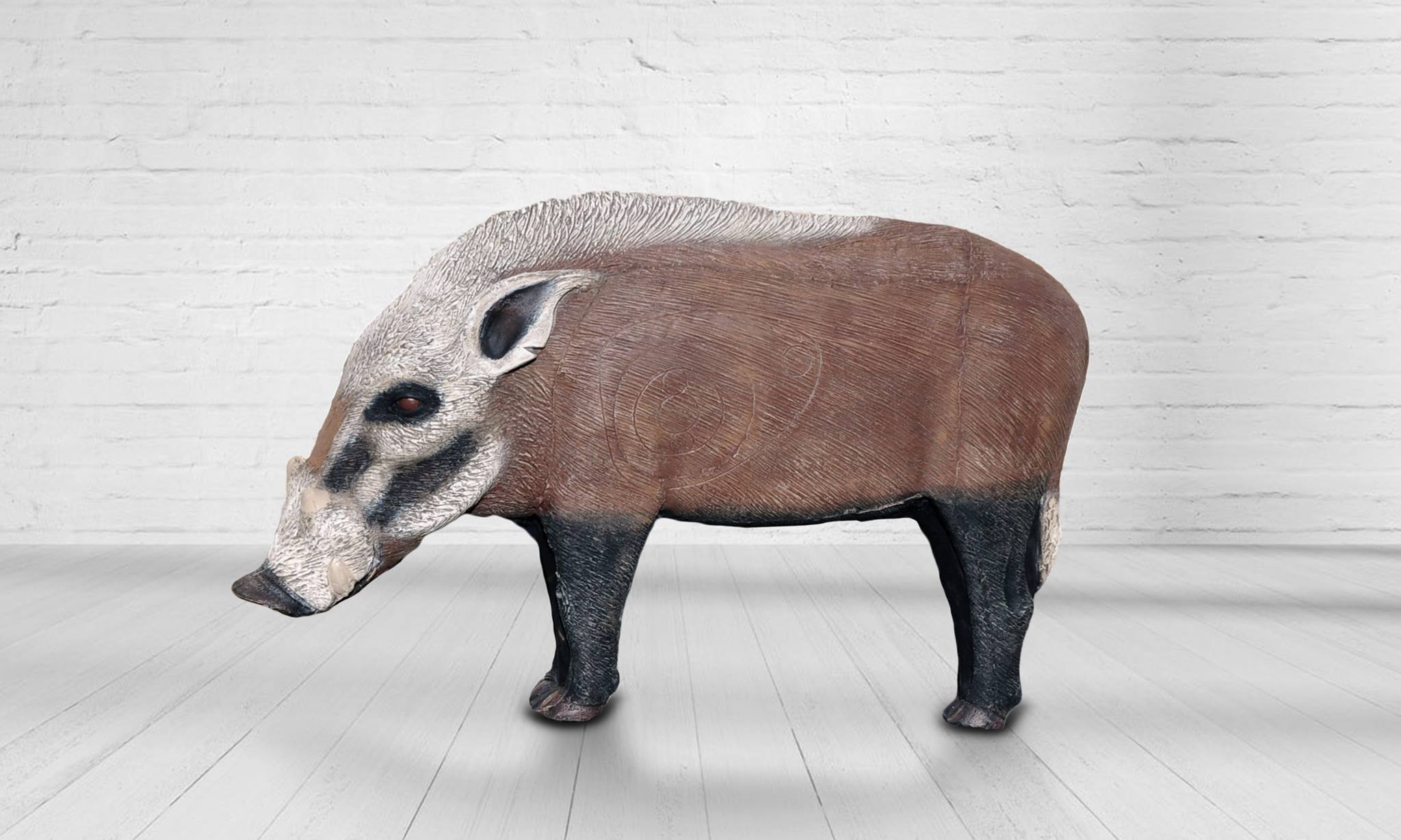 20819539_1955038724755160_5310923169813732688_o