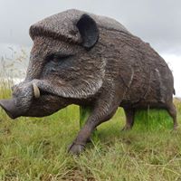 28168842_1707884139299592_6366616879955386795_n