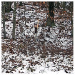 ghostblind-predator-ultimate-set-08