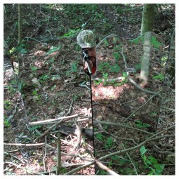 ghostblind-predator-ultimate-set-09